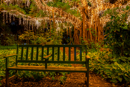 fairy lights in the parkの写真素材