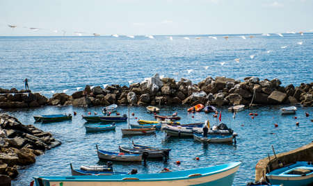 Italy Cinque Terre - the five villages at the Italian Riviera - seaview Ligurian harbor with fisher boatsのeditorial素材