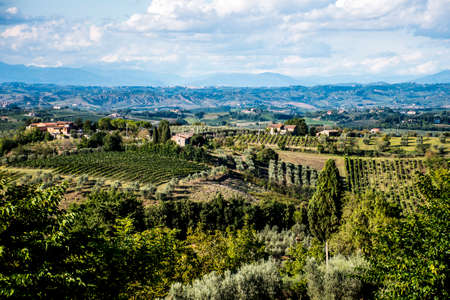 Wineyard overview Italy Tuscanyの写真素材