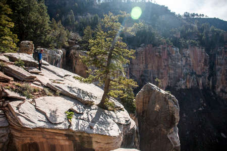 Grand Canyon National Park USA North rim hikingの写真素材