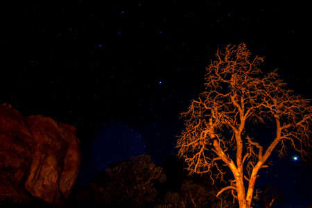 Moab Utah Arches National Parc Stars in the nightの写真素材
