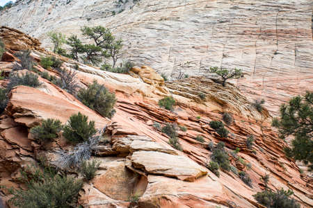 Sand stone rock formation in the west of USA 3の写真素材