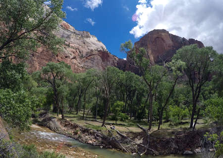 Grand Canyon National Park USA West Coast 23の写真素材