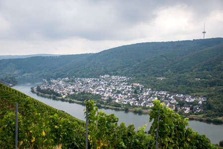 Famous German Wine Region Moselle River in Winningen