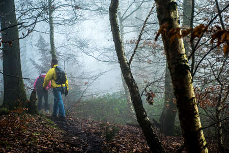 Hiking with friends in the wood on a foggy day in nature 2の写真素材