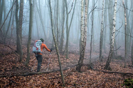 Hiking with friends in the wood on a foggy day in nature 5