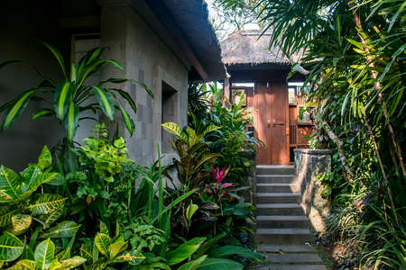 Bali Indonesia Ubud living in the Jungle Forest 2の写真素材