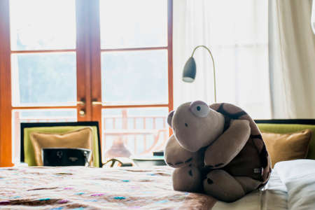 Turtle sitting on bed of Ubud in Bali Indonesia Mandapaの写真素材