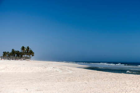 sandy beautiful beach sky and palm with waves in oman arabic sea ocean in salalahの写真素材