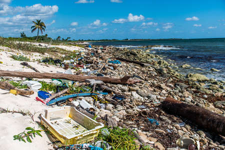 Mexico ocean Pollution Problem plastic litter 3の写真素材