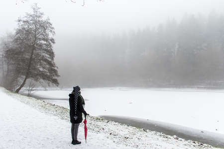 Girl lonely umbrella walking path trees Winter 4の写真素材