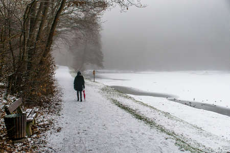 Girl lonely umbrella walking path trees Winter 2の写真素材