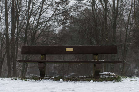 Bench empty seat in wood trees winter and fog 3の写真素材