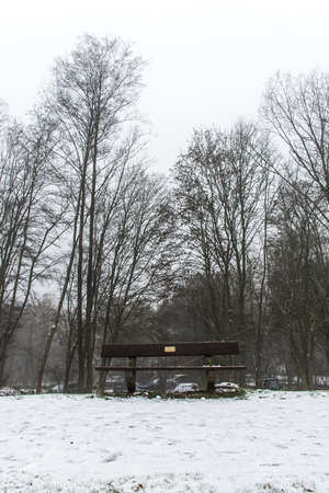 Bench empty seat in wood trees winter and fog 5の写真素材