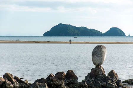 Big shell on rocks near blue ocean with beach background Koh Phangan island Thailand
