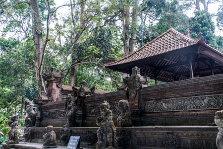 Bali Indonesia Ubud Monkey Forest Templeの写真素材