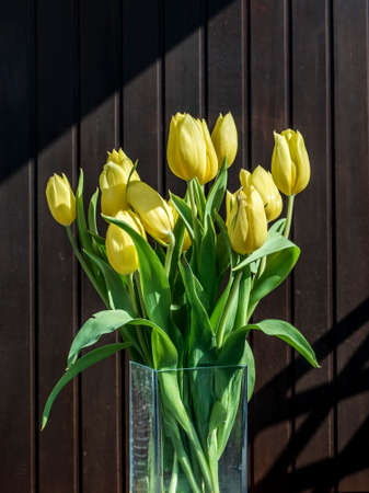 beautiful yellow tulips bucket spring decoration flowers tulip brown backgroundの写真素材