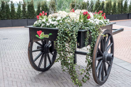Old wooden cart full of colorful flowers with flower textの写真素材