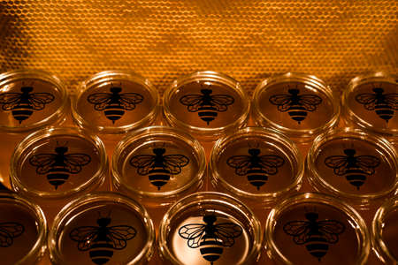 Golden yellow honey in glass jar on wooden board Closeup Copy space comp frame empty textspace with bee logoの写真素材