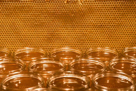 Golden yellow honey in glass jar on wooden board Closeup Copy space comp frame empty textspaceの写真素材