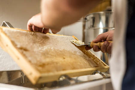 Honeycomb will open unwaxing fork beekeeper uncapped for harvest golden delicious honey closeupの写真素材