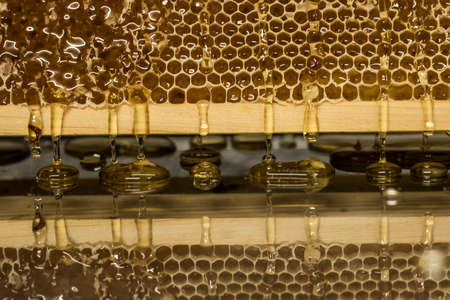 Glossy yellow golden honey comb reflection mirror sweet honey drips flow during harvest background...