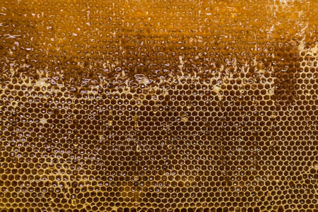Glossy yellow golden honey comb sweet honey drips flow during harvest background or textspaceの写真素材