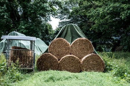 harvested field agriculture with straw bales during summer germany near Andernachの写真素材