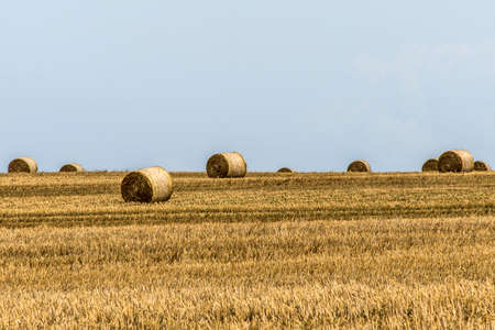 harvested field agriculture with straw bales during summer germany near Andernach