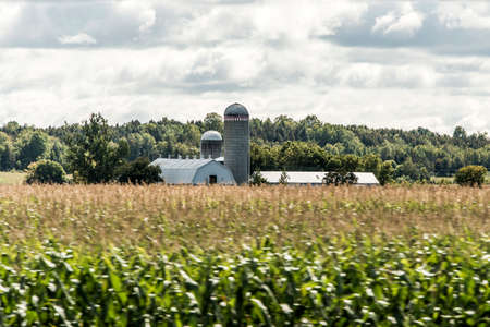 Rural Ontario Farm with Barn Silo storage agriculture animals Canada farmingの写真素材