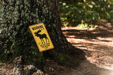 yellow sign Do not feed the moose ontario canada algonquin national parkの写真素材