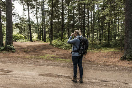 Girl with binocular hiking Canada Ontario Lake of two rivers natural wild landscape in Algonquin National Parkの写真素材