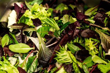 Fresh salad with mixed greens lettuce arugula, mesclun, mache close up Healthy food Green mealの写真素材