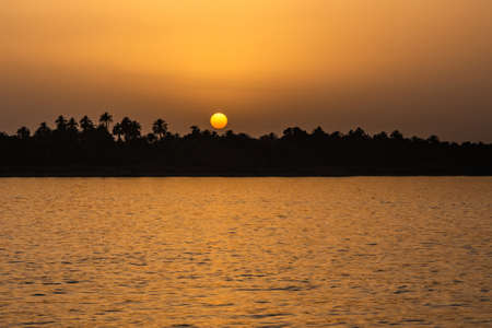 Egypt Nile river view at sunset with tropical palm tree silhouette and distant colorful sun going...