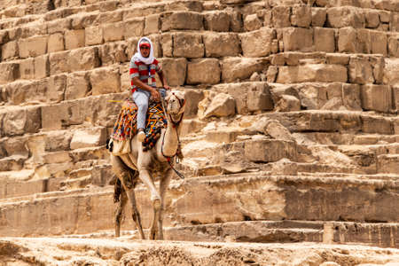 Cairo, Egypt 25.05.2018 - guides riding camels on Giza plateau in the rocky desertのeditorial素材