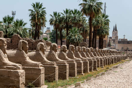 Avenue of the Head Sphinxes Karnak Temple in Luxor, Egyptの写真素材