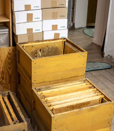 Beekeeper tools Stock for Bees beehive and glas packagesの写真素材