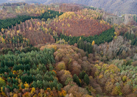Aerial view Beautiful green, orange and red autumn forest, many trees different colors germany...