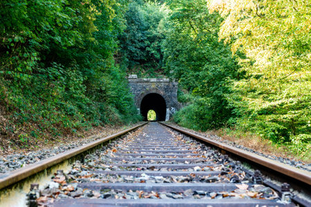 a railway in the spring forest. Tunnel of rails, trees and the railroadの写真素材