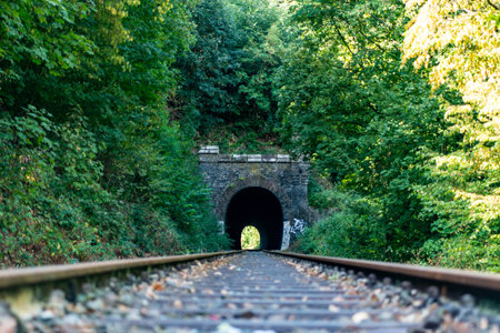 a railway in the spring forest. Tunnel of rails, trees and the railroadの写真素材