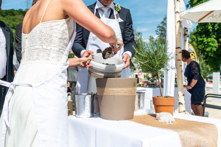 Wedding ceremony couple bride and groom planting a pot with rosemary traditionの写真素材