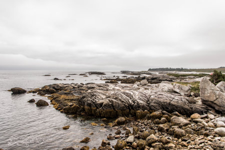 Exploring the beach in the morning at Kejimkujik National Park Seaside, Nova Scotia, Canada