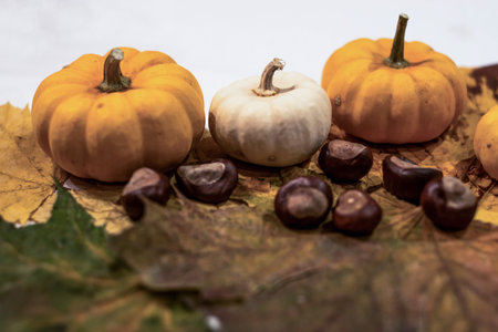 Autumn frame made of knitted leafs oak and maple orange pumpkins on grey background Conceptautumn Halloweenの写真素材