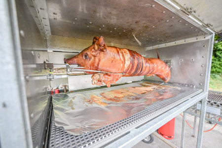 Barbecue with young pig grill Whole roasted piglet body turning on grill. Large barbecue in the process of cooking meatの写真素材