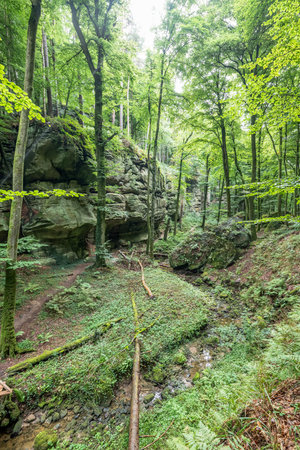 Beautiful green forest Hiking path with Sandstone chalk rock formations in Berdorf Mullerthal Luxembourgの写真素材