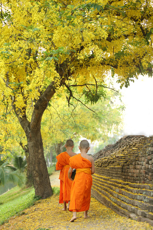 Buddhist Monk walking to receive foodの写真素材