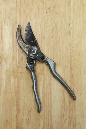 Pruning Shearsの写真素材
