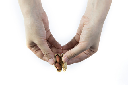 Crack a peanut isolated on a white background with shadowの写真素材