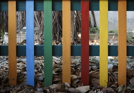 Colorful from wooden fenceの写真素材