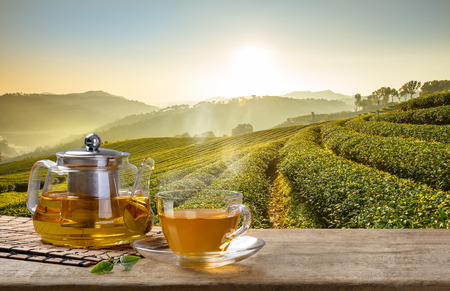 Warm cup of tea and glass jugs or jars and tea leaf on wooden table with the tea plantations backgroundの写真素材